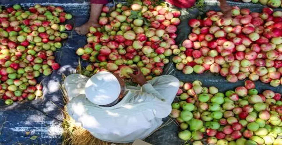कश्मीर के सेब उत्पादकों के लिए नई रेल सेवा की शुरुआत
