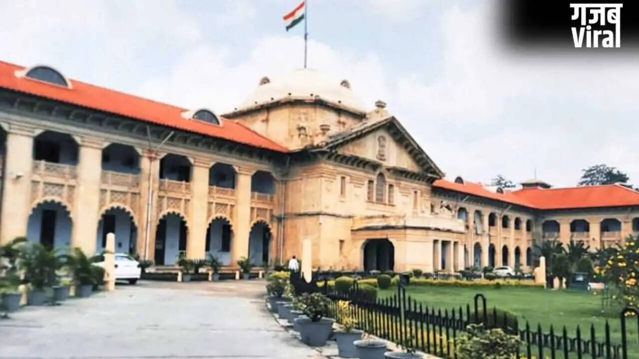 चाइनीज़ मांझा पर रोक लगाने के लिए हाई कोर्ट ने यूपी सरकार से मांगा जवाब