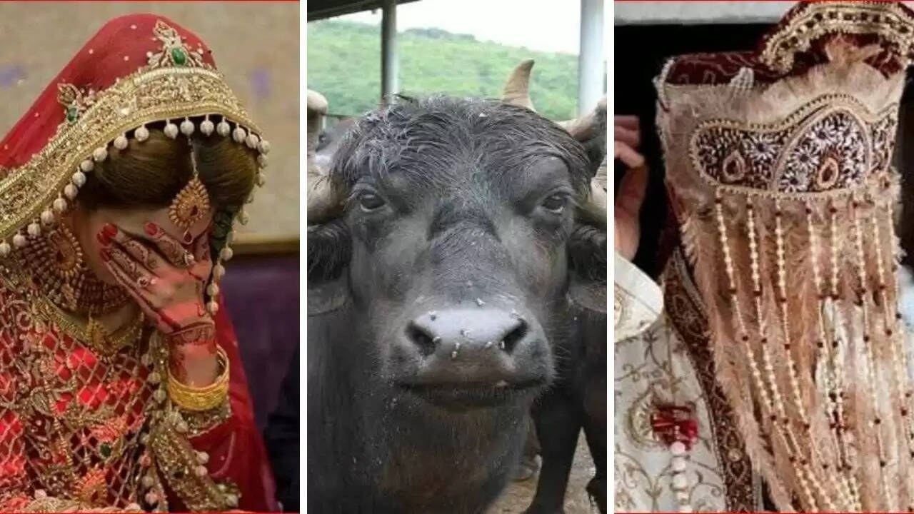 पत्नी ने पति पर दहेज मांगने और अफेयर का गंभीर आरोप लगाया