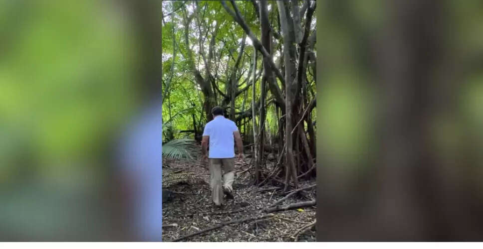 कांग्रेस ने ग्रेट निकोबार विकास परियोजना पर संसद में चर्चा की मांग की