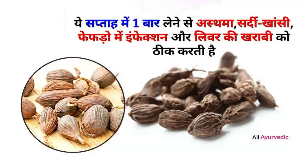 बड़ी इलायची के अद्भुत फायदे: जानें इसके 26 स्वास्थ्य लाभ