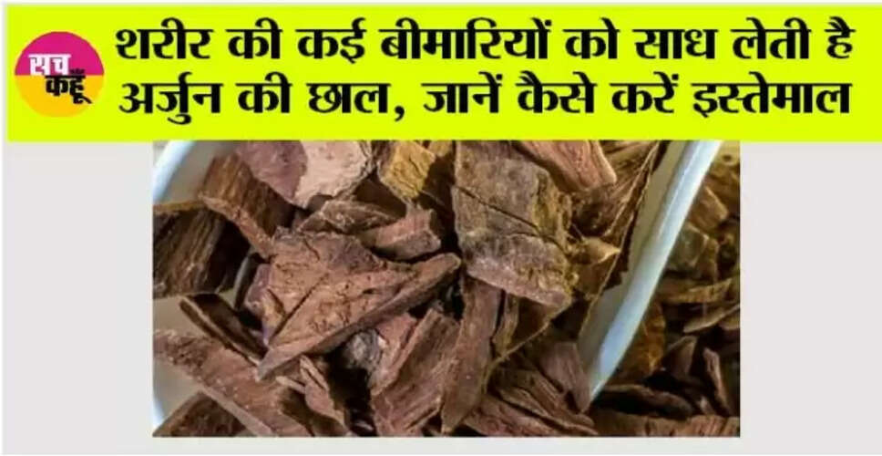 अर्जुन की छाल के अद्भुत स्वास्थ्य लाभ