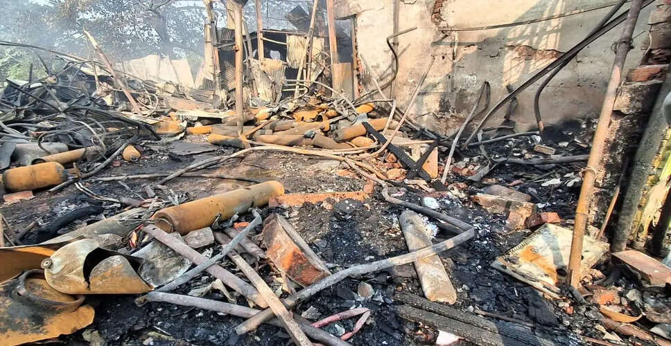 दिल्ली के मंगोलपुरी में फर्नीचर बाजार में भीषण आग, नुकसान का आकलन जारी