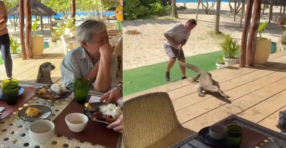 मॉनिटर लिजर्ड का अनोखा वीडियो: खाने की टेबल पर पहुंची छिपकली