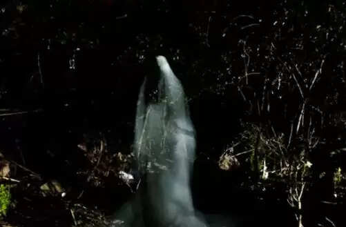 कैटरिना लिगाटो: आत्माओं से संवाद करने वाली ऑस्ट्रेलियाई महिला