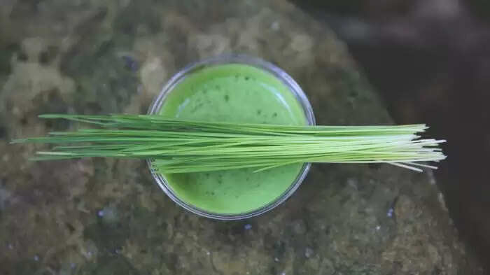 व्हीट ग्रास जूस: स्वास्थ्य के लिए चमत्कारी लाभ