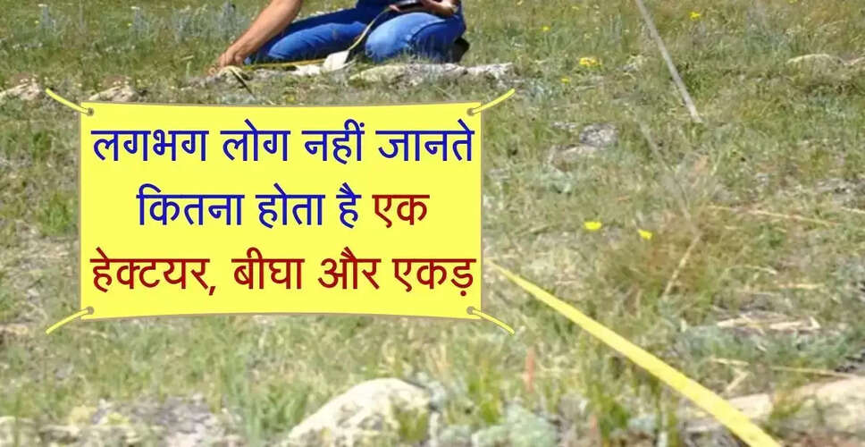 भूमि मापने की विभिन्न इकाइयाँ: बीघा, एकड़ और हेक्टेयर की जानकारी