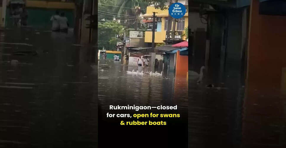 खेल की दुनिया में नई तस्वीरें: एक झलक