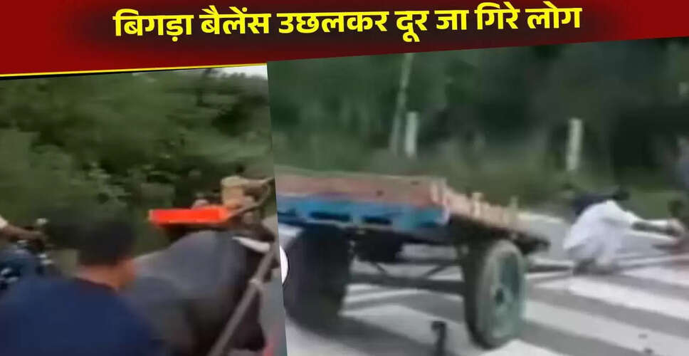भैंसे की रेस ने सोशल मीडिया पर मचाई धूम, देखें वायरल वीडियो