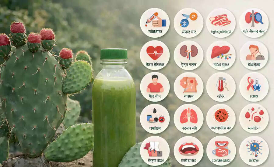 नागफनी: औषधीय गुण और पारंपरिक उपयोग