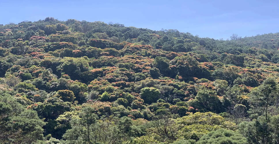 तमिलनाडु सरकार ने 100 वन ब्लॉकों को आरक्षित वन घोषित किया