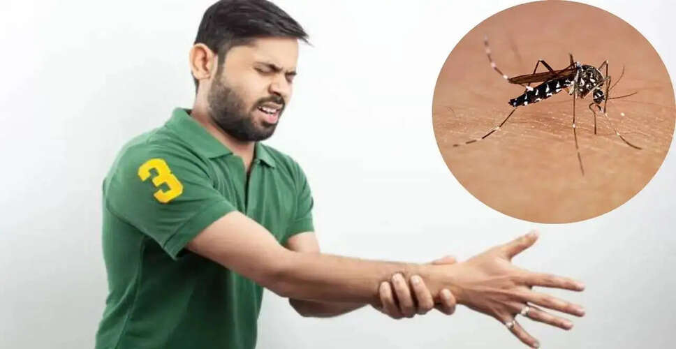 विश्व चिकनगुनिया दिवस: इस बीमारी के बारे में जानें जो अक्सर अनदेखी रह जाती है