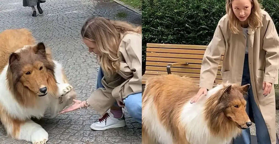 जापानी व्यक्ति ने खुद को कुत्ता बना लिया, अब बनना चाहता है भेड़िया