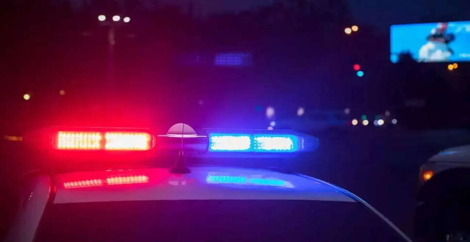 दक्षिण कैरोलिना में बच्चों का अपहरण: संदिग्ध गिरफ्तार