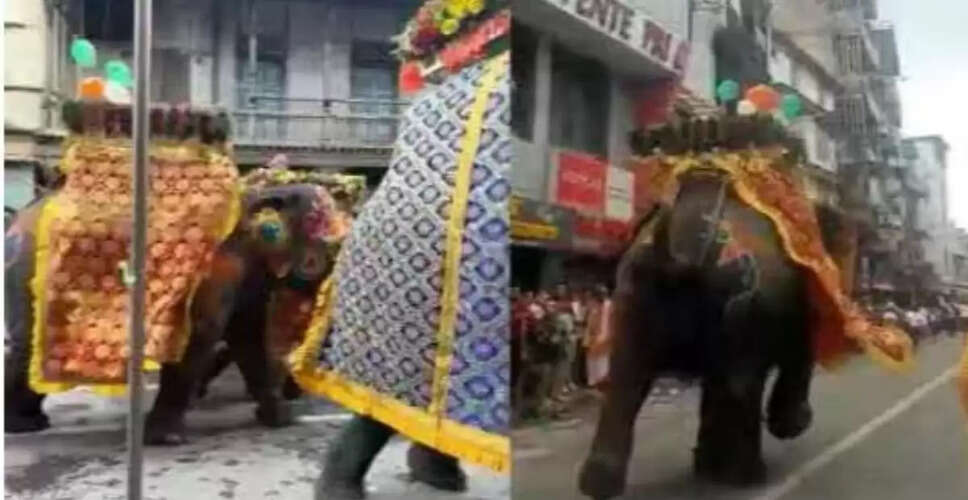 अहमदाबाद की रथ यात्रा में हाथियों की परेशानी, पशु कल्याण पर उठे सवाल