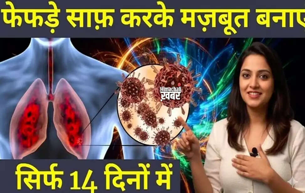 फेफड़ों के लिए प्राकृतिक हर्बल डिटॉक्स चाय के लाभ और विधि