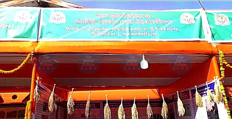 असम के बाओ धान की नई किस्म ने वैश्विक बाजार में मचाई धूम