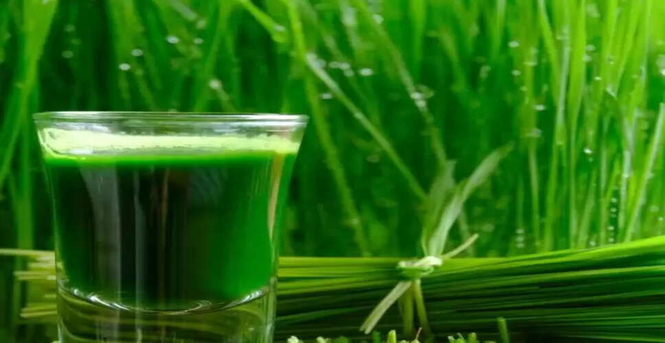 यूरिक एसिड को नियंत्रित करने में मददगार व्हीटग्रास जूस