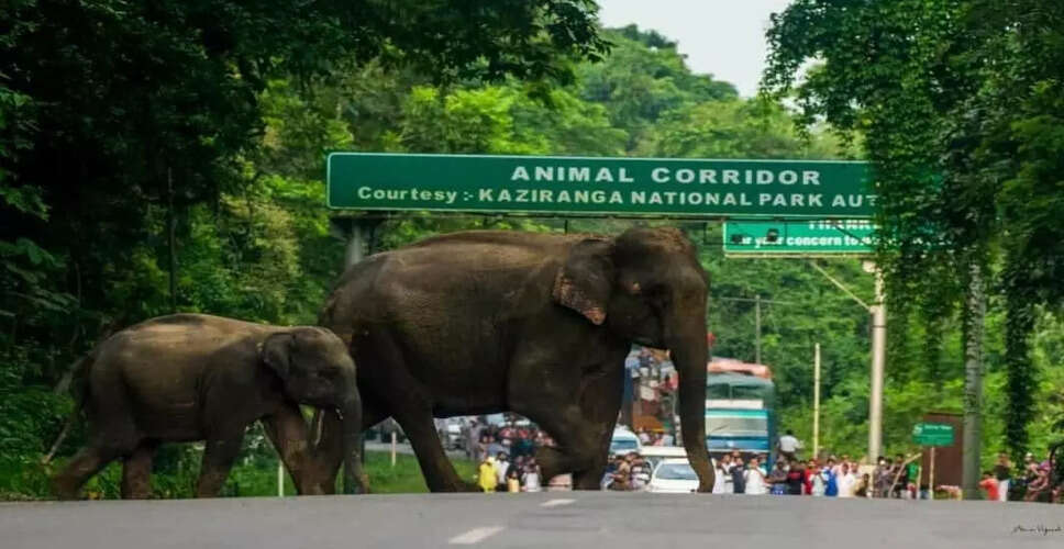 ब्रह्मपुत्र पर प्रस्तावित सुरंग के लिए वैज्ञानिक अध्ययन की आवश्यकता