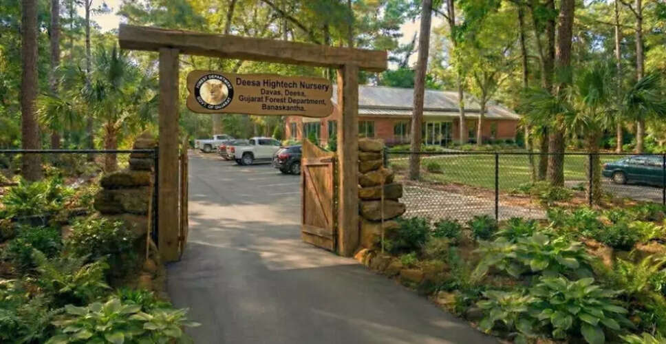 गुजरात में स्थापित होगा पहला हाई-टेक नर्सरी, पर्यावरण संरक्षण में मददगार