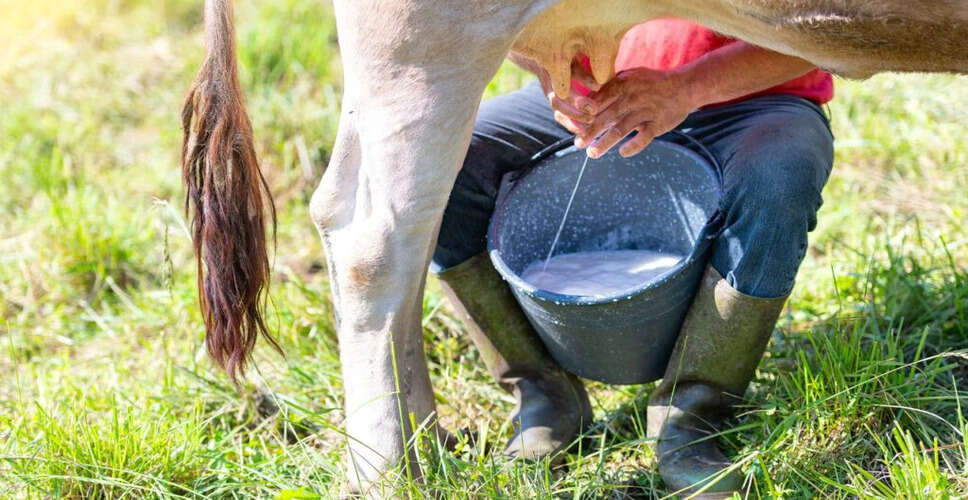 सर्दियों में पशुओं की देखभाल: दूध उत्पादन बढ़ाने के सरल उपाय