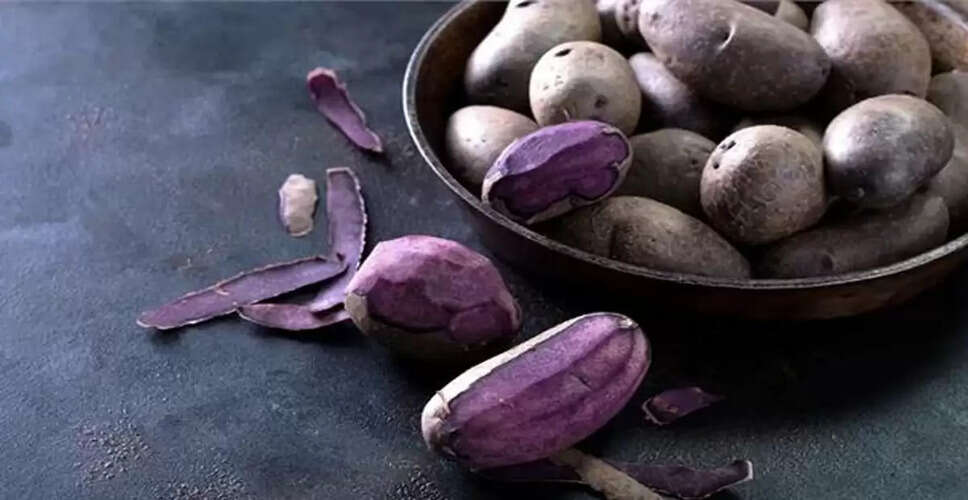 बैंगनी आलू: सेहत का अनमोल खजाना और रसोई का नया सितारा