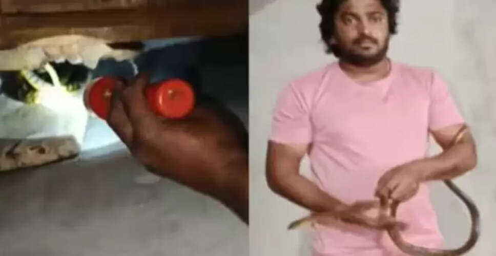 सांप पकड़ने का अद्भुत वीडियो हुआ वायरल, देखिए कैसे एक शख्स ने किया कमाल