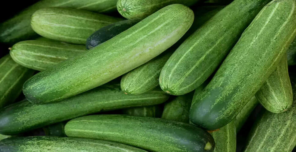 खीरा: छिलकर खाना बेहतर या बिना छीले? जानें इसके फायदे