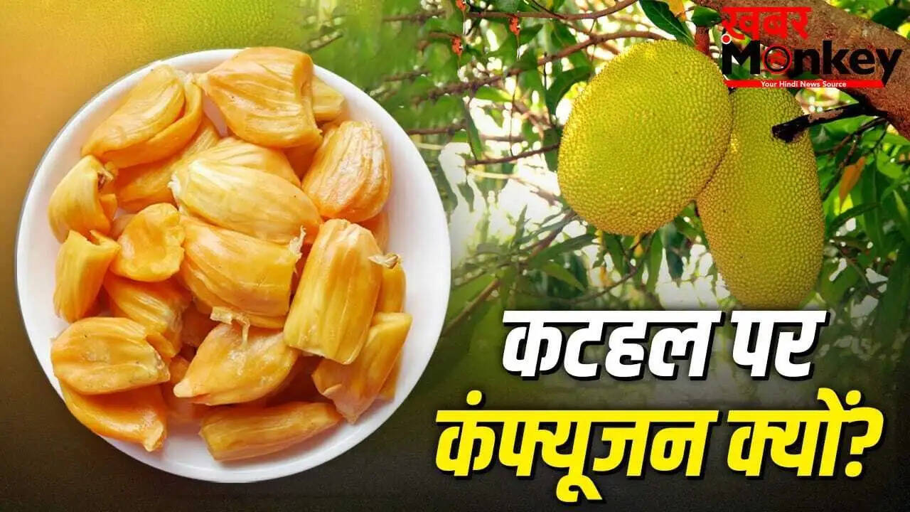 कटहल: फल या सब्जी? जानें इसके पीछे का विज्ञान और इतिहास