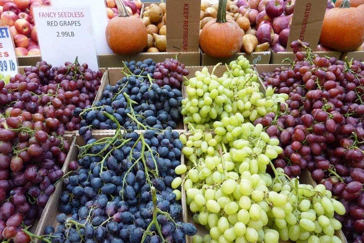 सर्दियों में अंगूर: मिठास के पीछे छिपा जहर