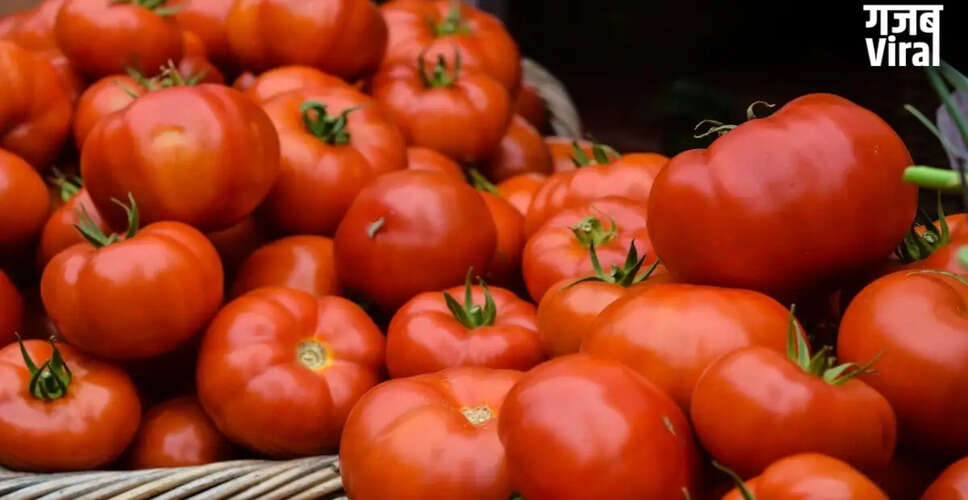 गर्मी में टमाटरों को ताजा रखने के आसान टिप्स