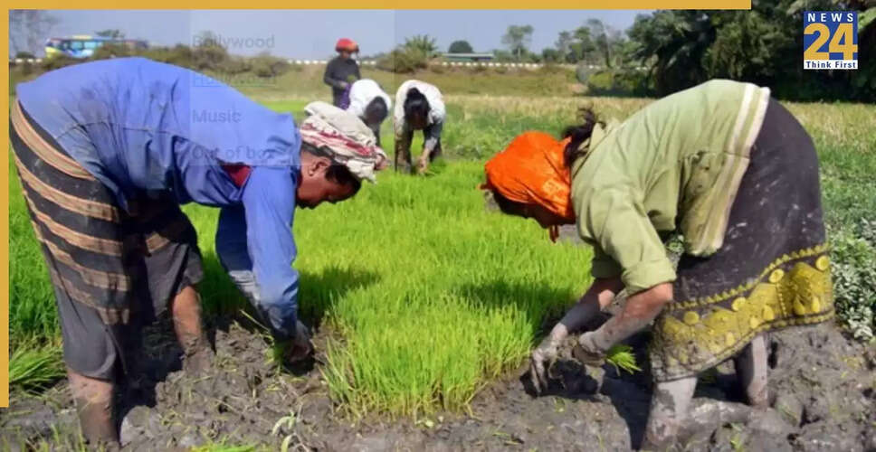 भारत की अर्थव्यवस्था में 7.8% की वृद्धि, विकास की स्थिरता दर्शाती है