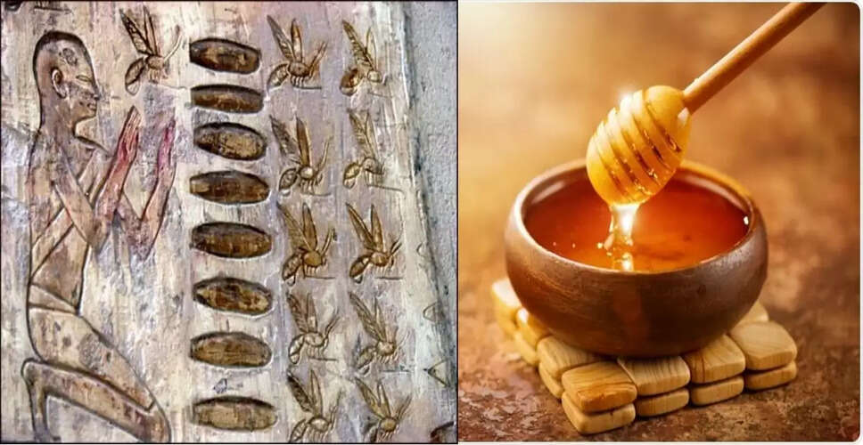 शहद के स्वास्थ्य लाभ: सोते समय एक चम्मच शहद के फायदे