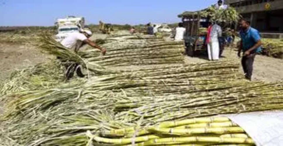 महाराष्ट्र और कर्नाटका में गन्ने की खेती में वृद्धि की उम्मीद