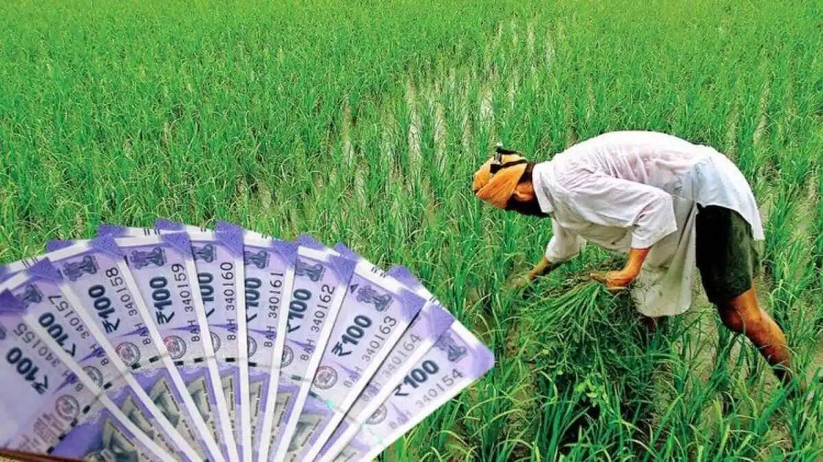 किसानों के लिए खुशखबरी: MSP में बढ़ोतरी से मिलेगी नई ताकत