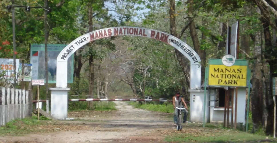 मनस नेशनल पार्क में घास की नर्सरी की स्थापना, लुप्तप्राय प्रजातियों का संरक्षण