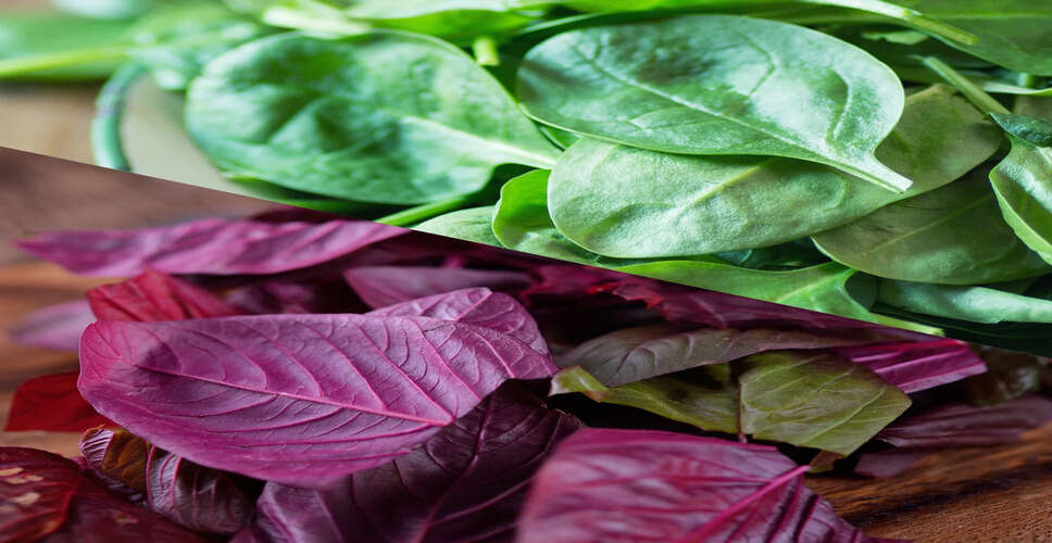 आयरन की कमी: पहचानें लक्षण और सुधारें डाइट