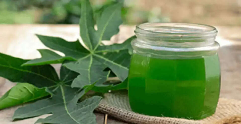 डेंगू के उपचार में पपीते के पत्तों का जूस: एक प्राकृतिक उपाय