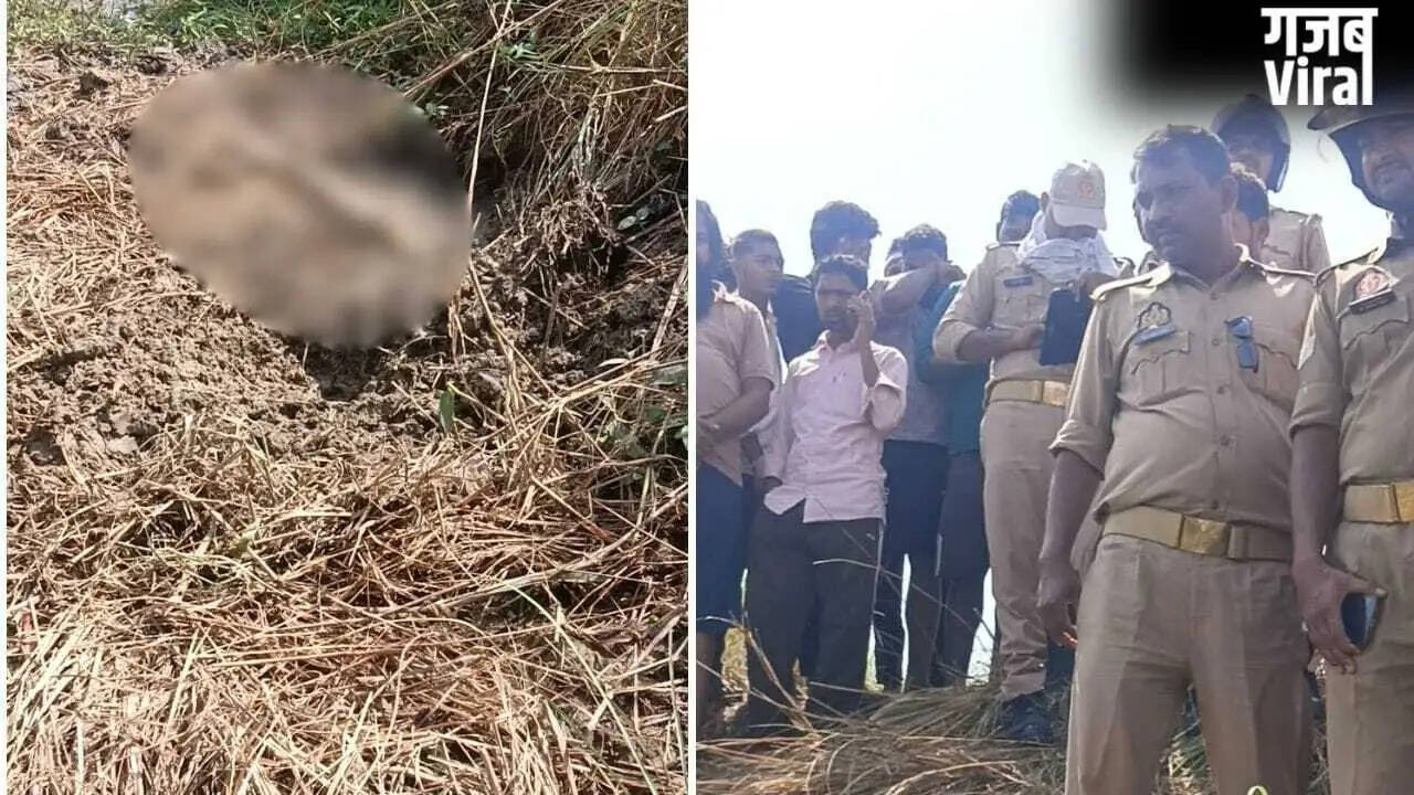 गोरखपुर में महिला और नवजात का शव बरामद, हत्या की आशंका