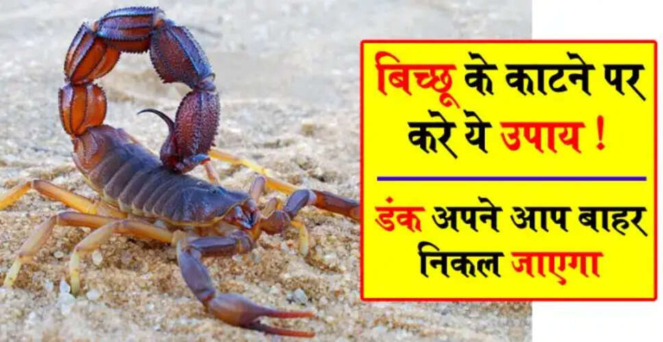 बिच्छू के काटने पर उपचार: जानें लक्षण और होम्योपैथिक उपाय