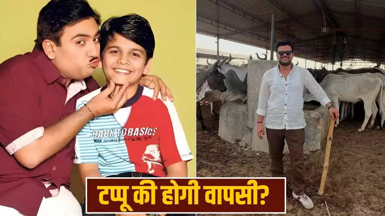 भव्या गांधी की 'तारक मेहता' में वापसी की अफवाहें गलत, मेकर्स ने किया स्पष्ट