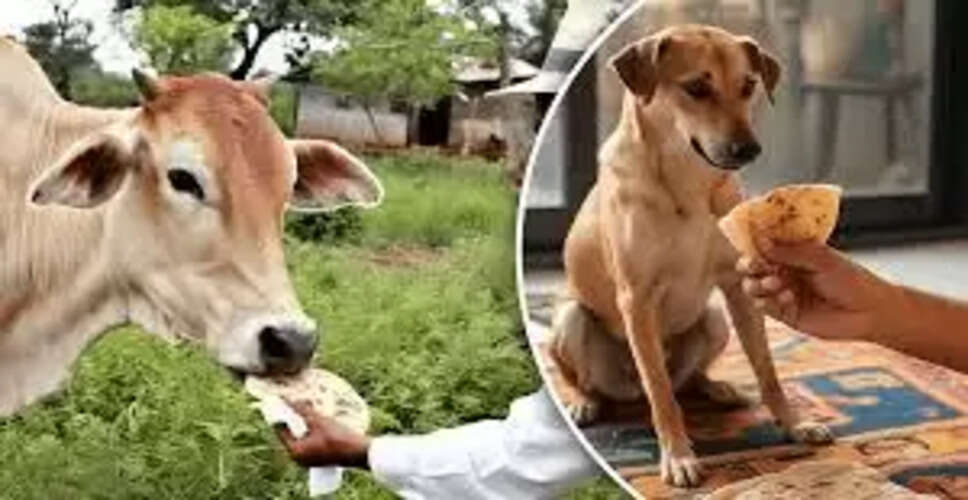 हिंदू धर्म में रोटी की परंपरा: गाय और कुत्ते का महत्व