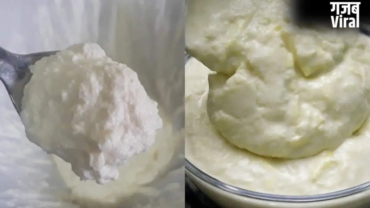 गर्मियों में दही को गाढ़ा रखने के लिए उपयोगी टिप्स