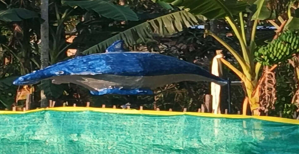 नलबाड़ी में डॉल्फिन पार्क की स्थापना से बढ़ी जागरूकता