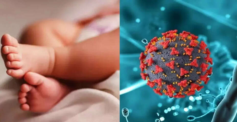 भारत में HMPV वायरस के दो मामले, स्वास्थ्य मंत्रालय ने दी जानकारी