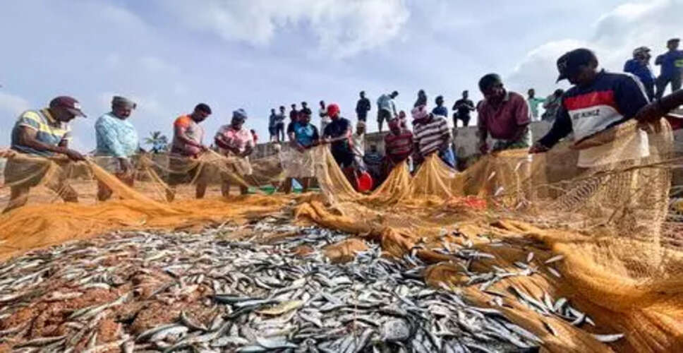 भारत में मछली उत्पादन में वृद्धि: सरकार की नई पहलों का असर