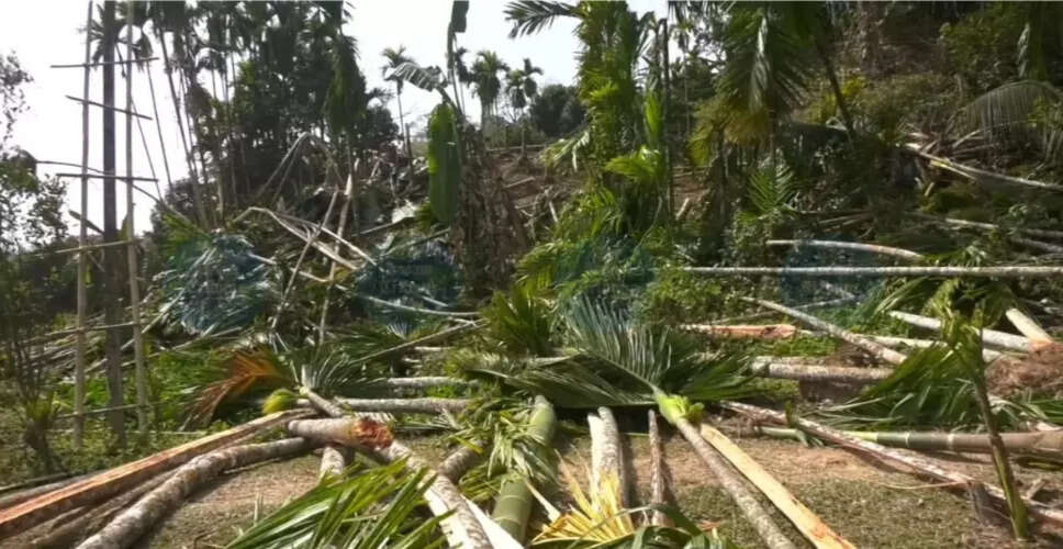 हैलाकंडी में वन भूमि से अतिक्रमण हटाने का अभियान जारी