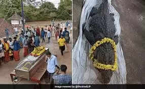 शाकाहारी मगरमच्छ बाबिया का निधन: मंदिर की सुरक्षा का प्रतीक