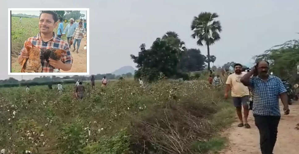 तेलंगाना में खेतों में मुर्गियों की अचानक बाढ़, ग्रामीणों में मची लूट