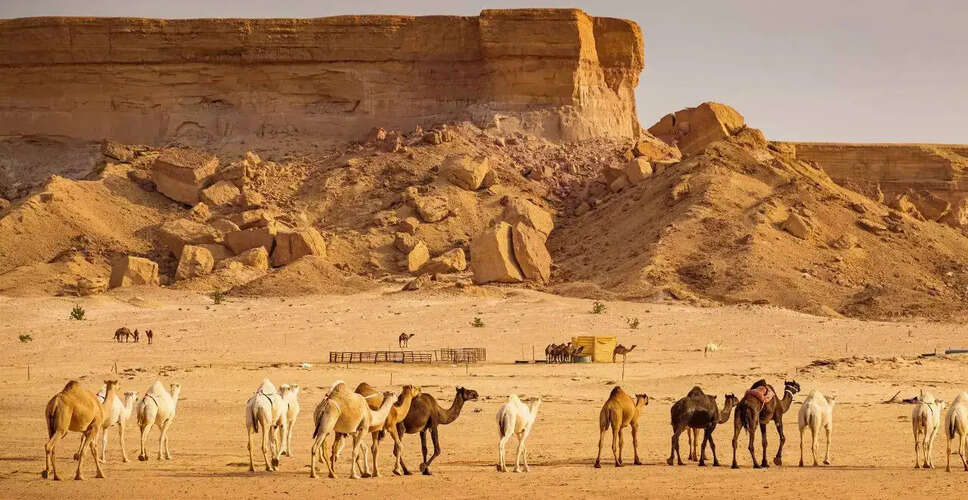 सऊदी अरब ने पूर्व-पश्चिम पाइपलाइन की क्षमता बढ़ाई, तेल निर्यात में वृद्धि